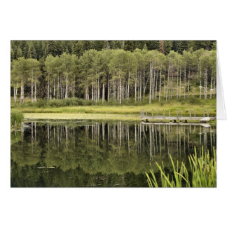 McCall Pond OBS Kort