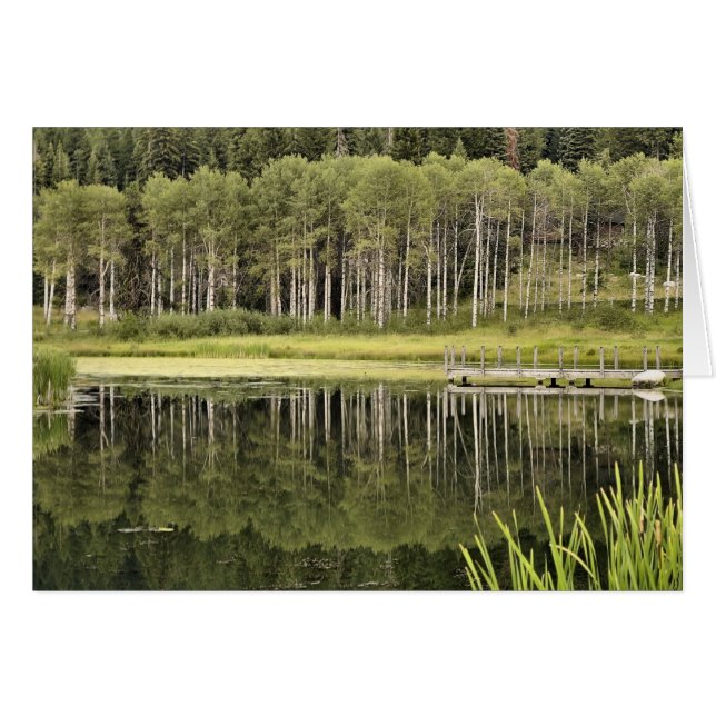 McCall Pond OBS Kort (Framsidan Horizontal)