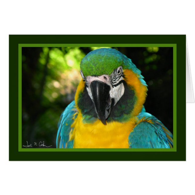 McCaw Hälsningskort (Framsidan Horizontal)