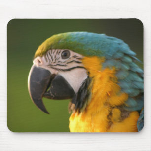 McCaw Mousepad Musmatta