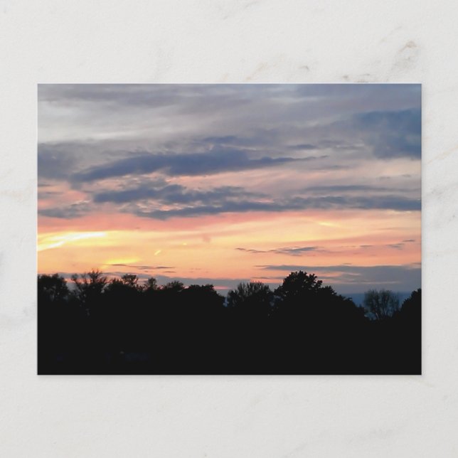 McCluer North High School Vykort (Framsida)