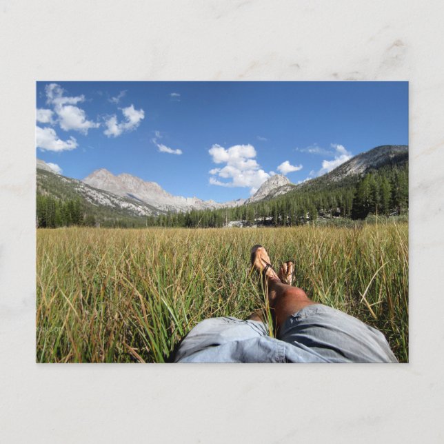 McClure Meadow - Evolution valley - John Muir Trai Vykort (Framsida)