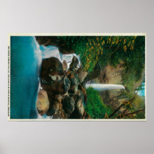 McCord bekännelsenedgångar på Columbia River Poster