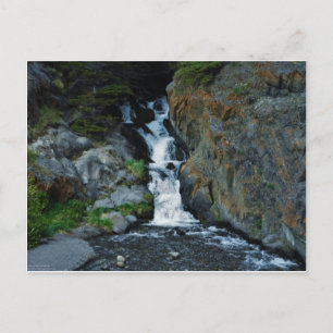 McCugh Bäck inspiration Vykort