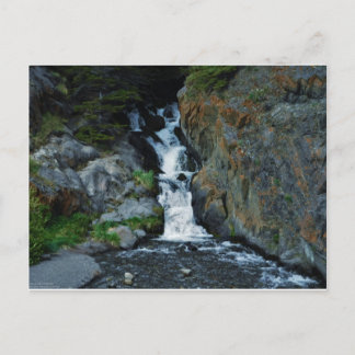 McCugh Bäck inspiration Vykort