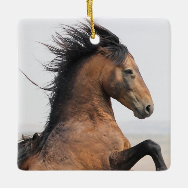 McCullough Peaks Vild Horse Ceramic Ornament (Framsida)