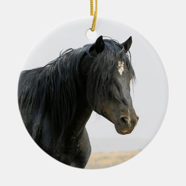 McCullough Peaks Vild Horse Jet Stream Ceramic Orn Julgransprydnad Keramik (Framsidan)