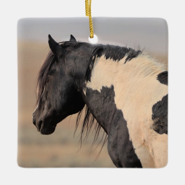 McCullough Peaks Vild Horses Ceramic Ornament (Framsida)