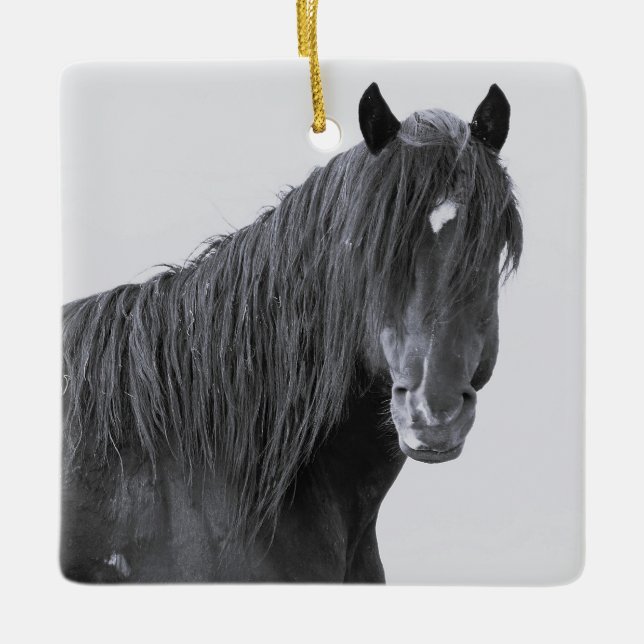 McCullough Peaks Vild Horses Ceramic Ornament (Framsida)