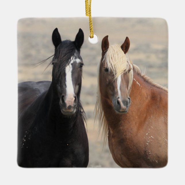 McCullough Peaks Vild Horses Ceramic Ornament (Framsida)