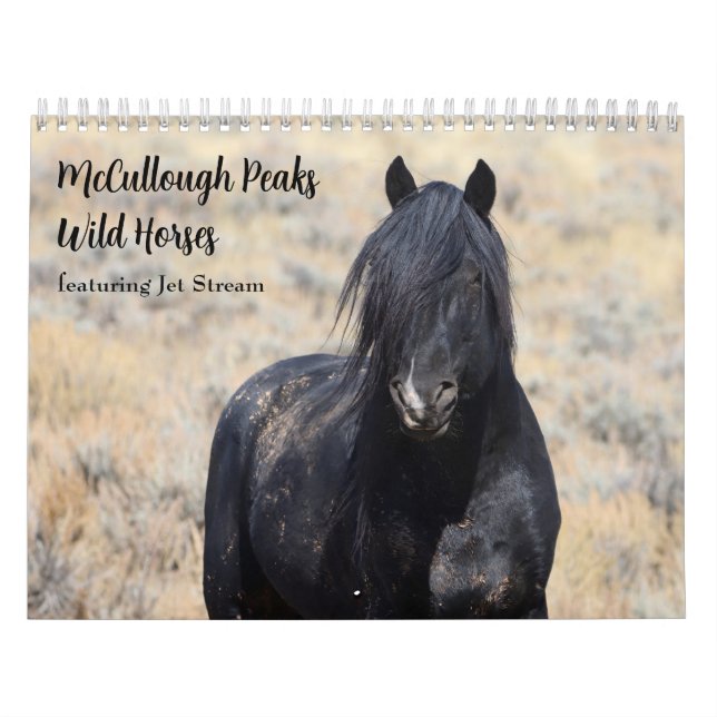 McCullough Peaks Vild Horses Kalender (Omslag)