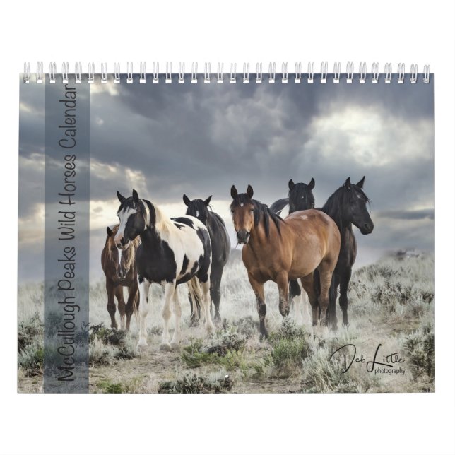 McCullough Peaks Vild Horses Kalender (Omslag)