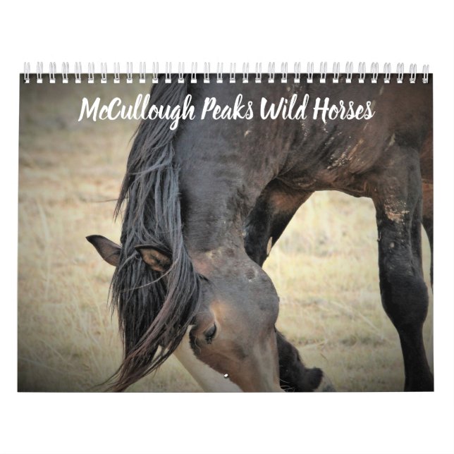 McCullough Peaks Vild Horses Kalender (Omslag)