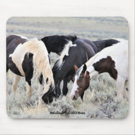 McCullough Peaks Vild Horses Musmatta