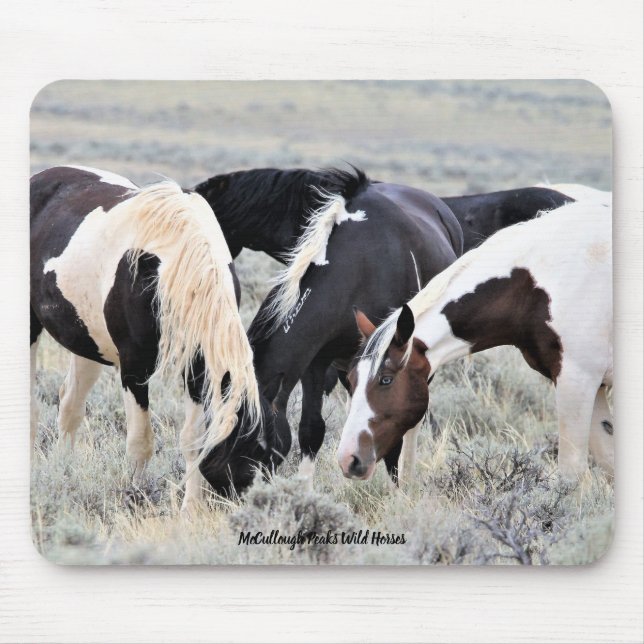 McCullough Peaks Vild Horses Musmatta (Framsidan)