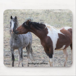 McCullough Peaks Vild Horses Musmatta