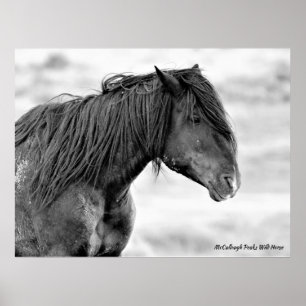 McCullough Peaks Vild Horses Poster