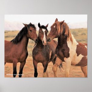 McCullough Peaks Vild Horses Poster