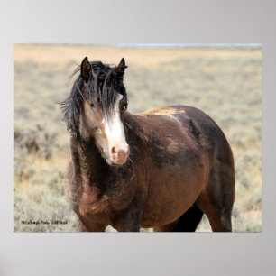 McCullough Peaks Vild Horses Poster