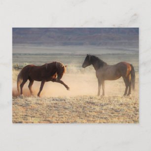 McCullough Peaks Vild Horses Vykort