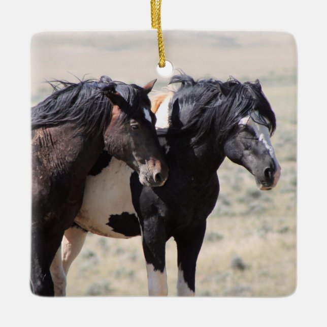 McCullough Peaks Washakie Ceramic Ornament (Framsida)