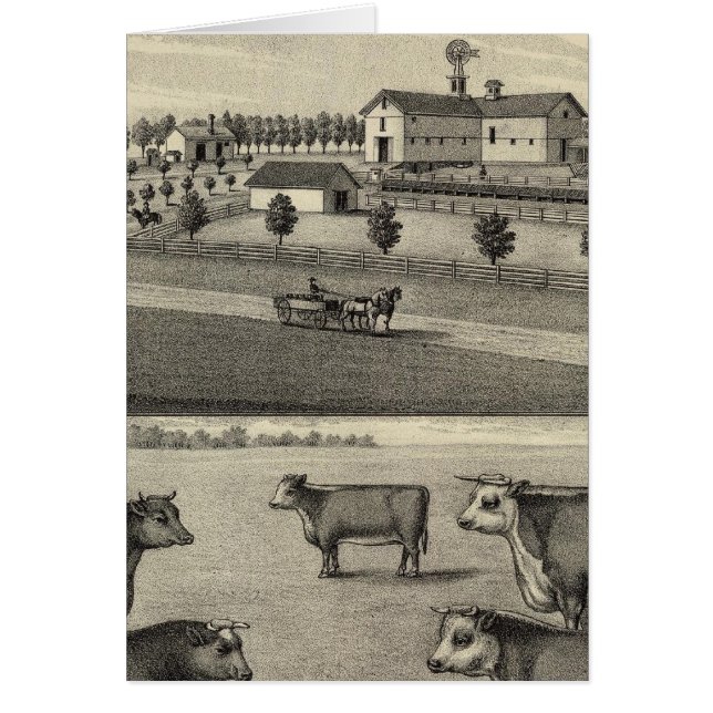 McDonald Farm, Nebraska Hälsningskort (Framsidan)