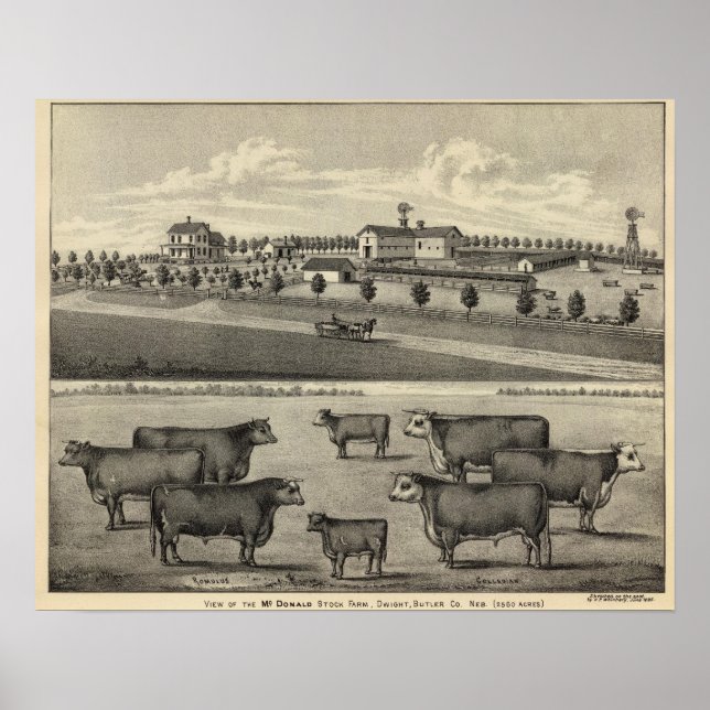 McDonald Farm, Nebraska Poster (Framsidan)