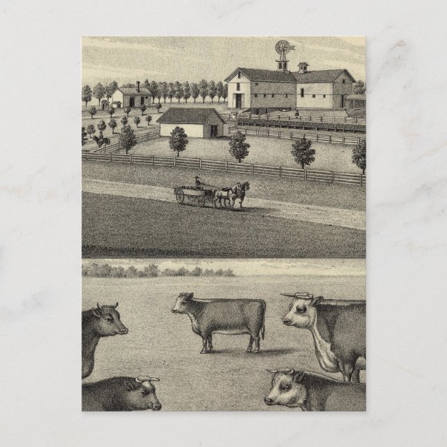 McDonald Farm, Nebraska Vykort (Framsida)