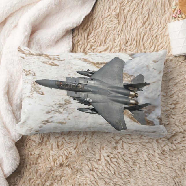 McDonnell Douglas F-15 Eagle Lumbarkudde (Filt)