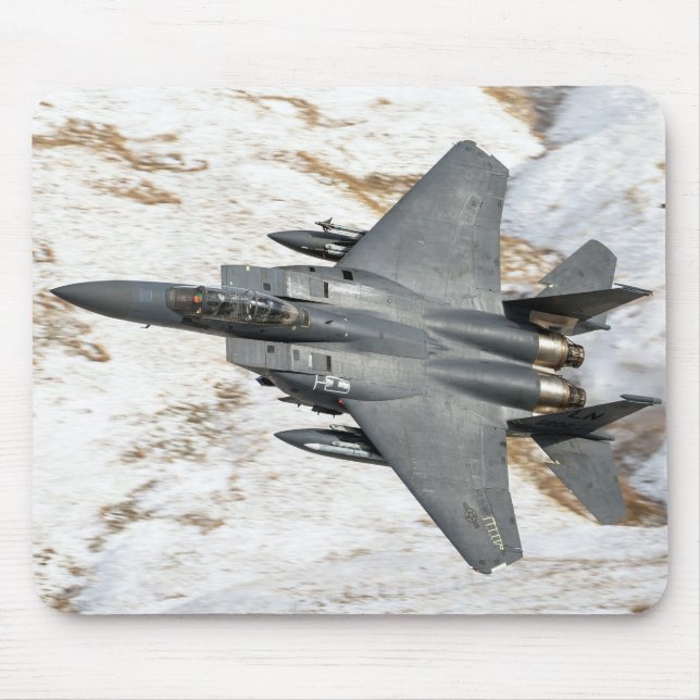 McDonnell Douglas F-15 Eagle Musmatta (Framsidan)