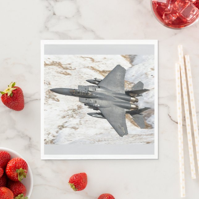 McDonnell Douglas F-15 Eagle Pappersservett (Insitu)