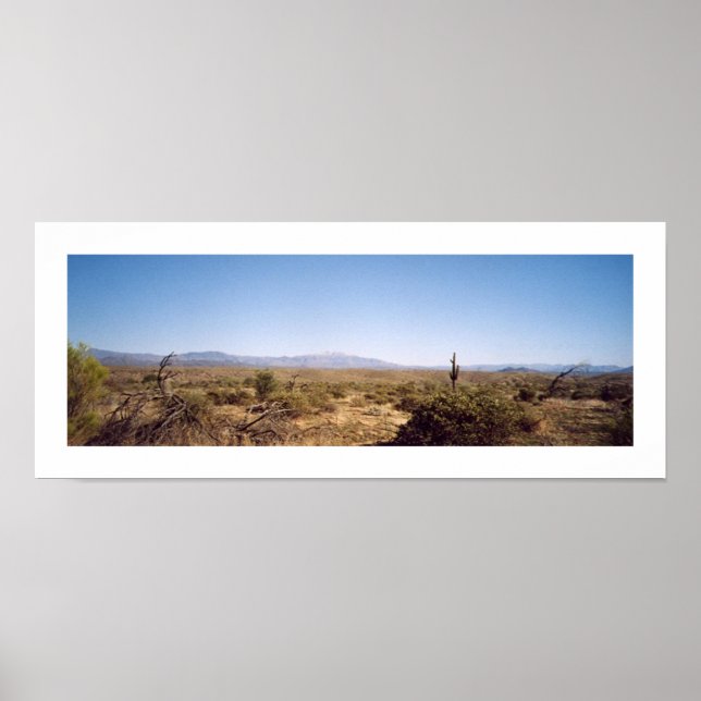 McDowell National Park Poster (Framsidan)