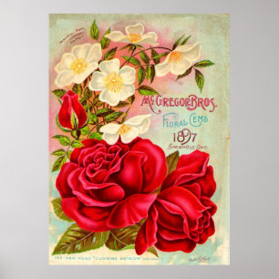 McGregor Bros. Blommigt Gems-annonsering Poster