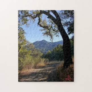 MCGS-vy för Mt Tam Puzzle Pussel