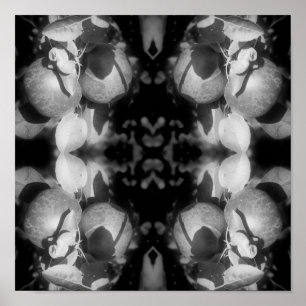 McIntosh-äpplen på Träd Black and White Abstrakt Poster