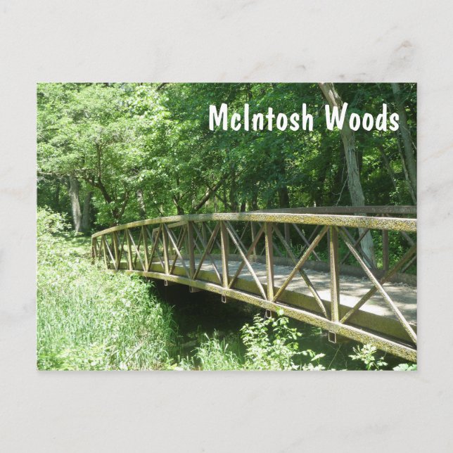 McIntosh Skogen State Park, Iowa Vykort (Framsida)