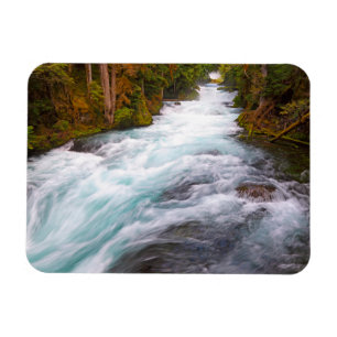 McKenzie River Oregon Magnet