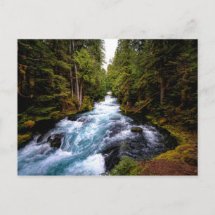 McKenzie River, Oregon, scenfotografi Vykort