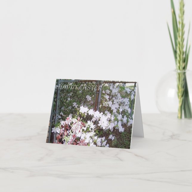 McLairArt's Photos N Art Påsk Notecards Helgkort (Framsida)