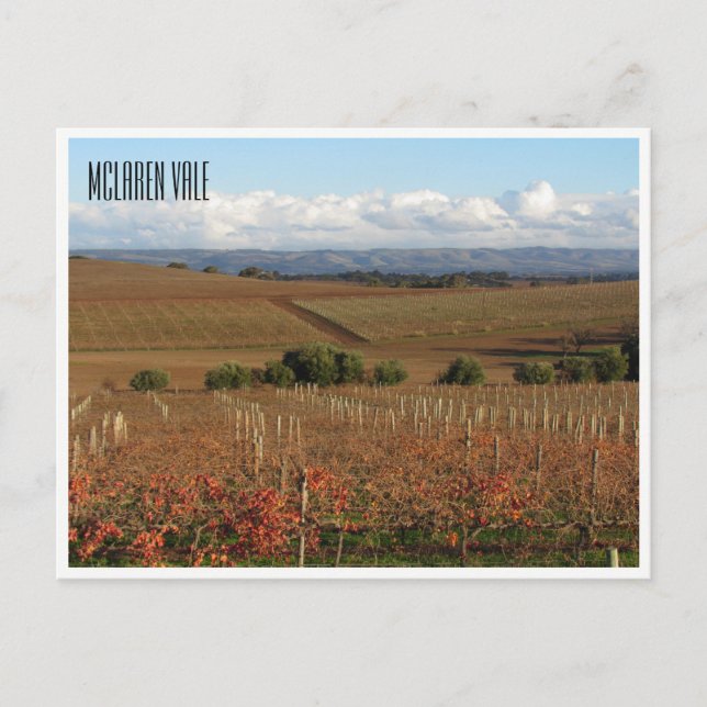 mclaren winery vykort (Framsida)
