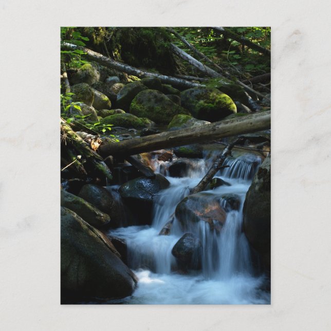 McPhee Bäck, Castlegar, British Columbia Vykort (Framsida)