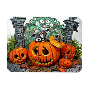 Md-pumpadrake 3" x 4" fotomagnet magnet