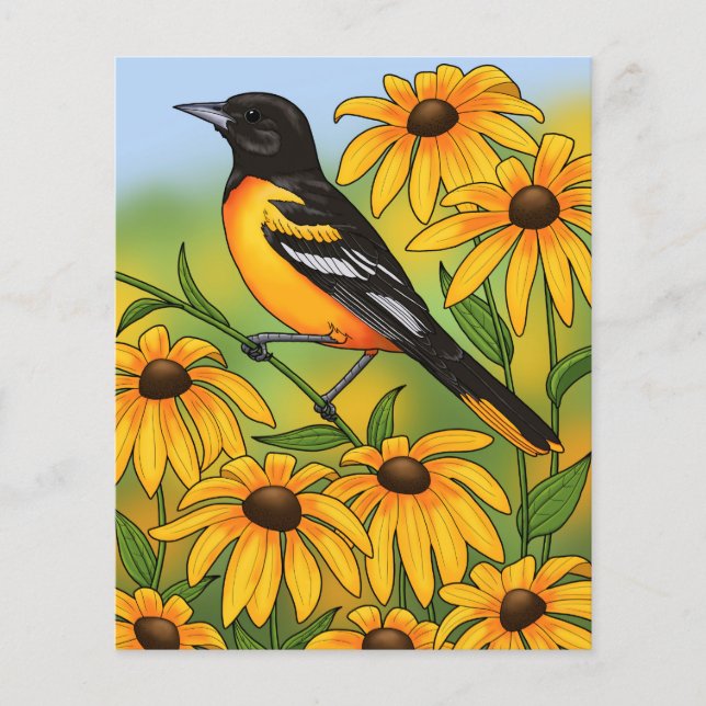 MD State Bird Oriole & Black-eyed Susan Flower (Framsida)