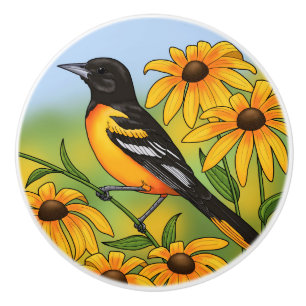 MD State Bird Oriole & Black-eyed Susan Flower Knopp