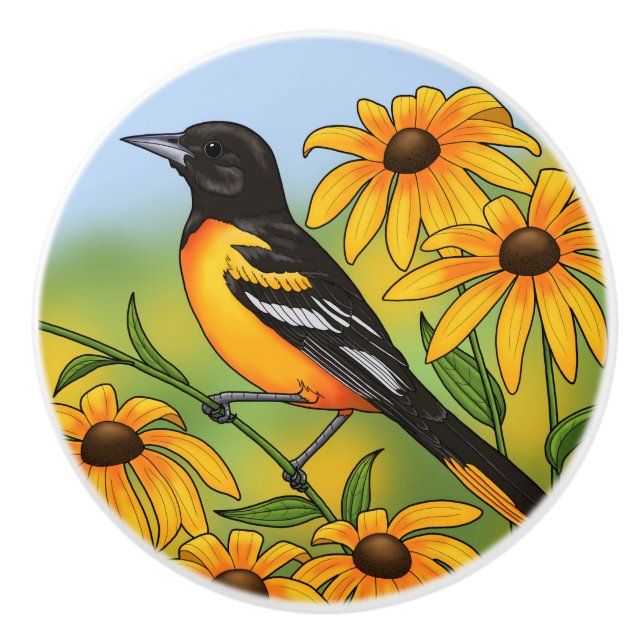 MD State Bird Oriole & Black-eyed Susan Flower Knopp (Framsidan)