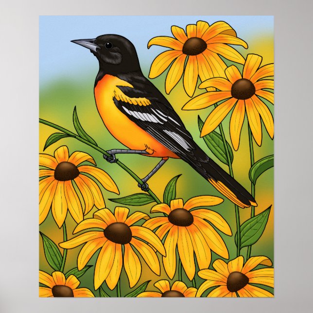 MD State Bird Oriole & Black-eyed Susan Flower Poster (Framsidan)