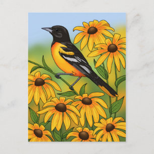 MD State Bird Oriole & Black-eyed Susan Flower Vykort