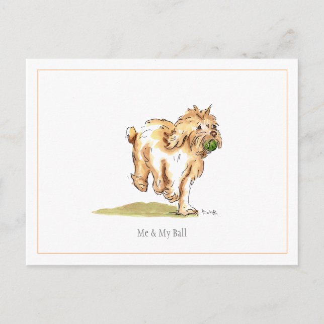 'Me & My Ball' Cockapoo vykort (Framsida)