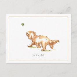 "Me & My Boll"-vykort Vykort