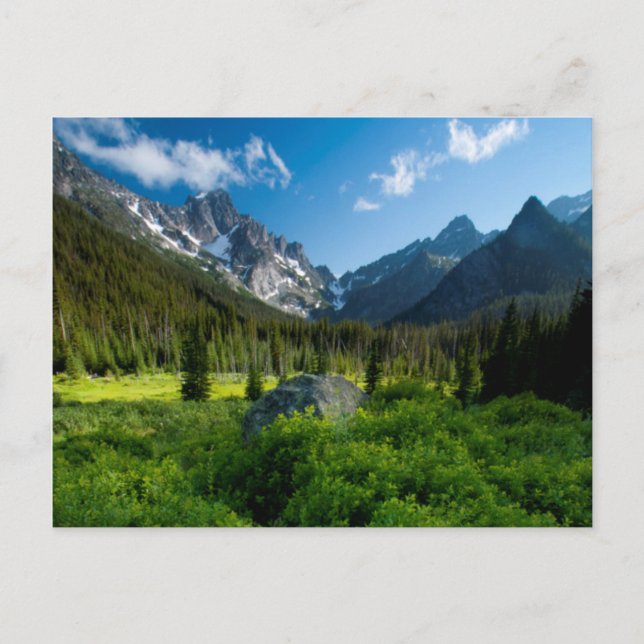 Meadow and Mt. Stuart Vykort (Framsida)